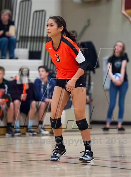 Thumbnail 3 in Lewis-Palmer @ Ponderosa photogallery.