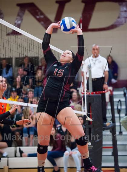 Thumbnail 1 in Lewis-Palmer @ Ponderosa photogallery.