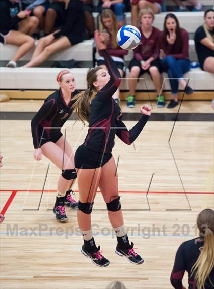 Thumbnail 3 in Lewis-Palmer @ Ponderosa photogallery.