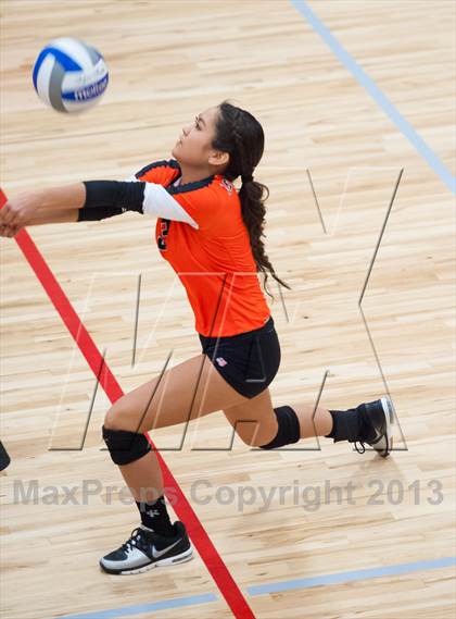 Thumbnail 1 in Lewis-Palmer @ Ponderosa photogallery.