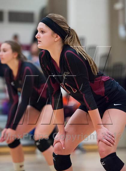 Thumbnail 2 in Lewis-Palmer @ Ponderosa photogallery.