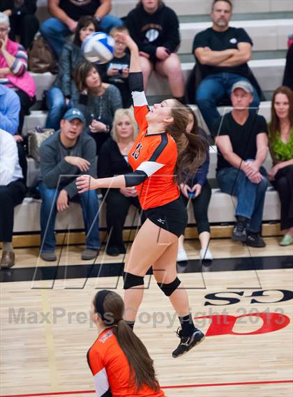 Thumbnail 3 in Lewis-Palmer @ Ponderosa photogallery.