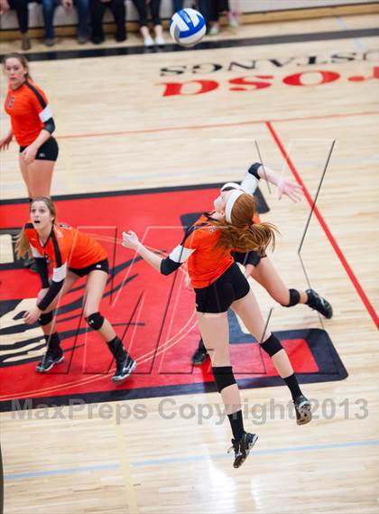 Thumbnail 1 in Lewis-Palmer @ Ponderosa photogallery.