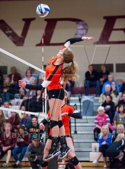 Thumbnail 1 in Lewis-Palmer @ Ponderosa photogallery.