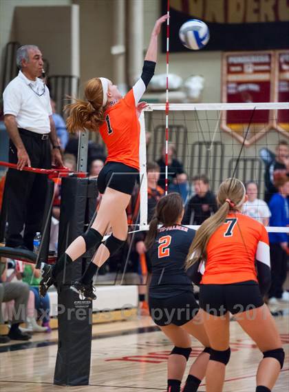 Thumbnail 1 in Lewis-Palmer @ Ponderosa photogallery.
