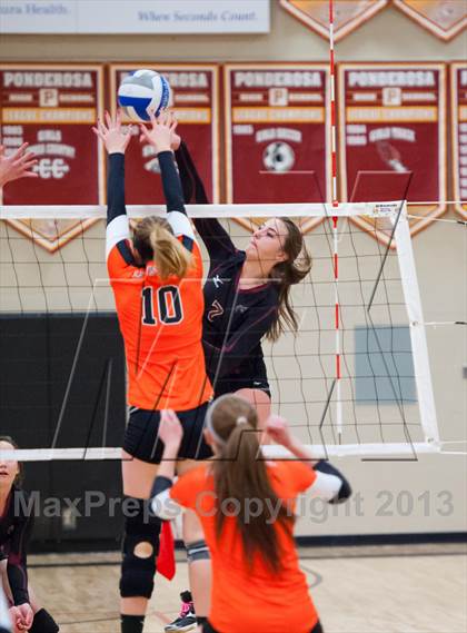 Thumbnail 3 in Lewis-Palmer @ Ponderosa photogallery.