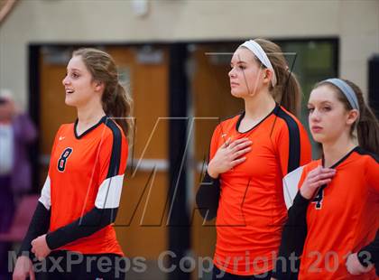 Thumbnail 2 in Lewis-Palmer @ Ponderosa photogallery.
