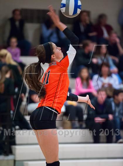 Thumbnail 1 in Lewis-Palmer @ Ponderosa photogallery.