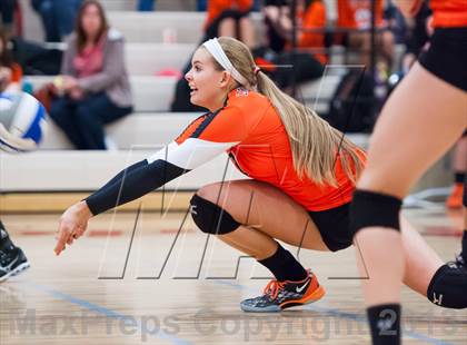 Thumbnail 2 in Lewis-Palmer @ Ponderosa photogallery.