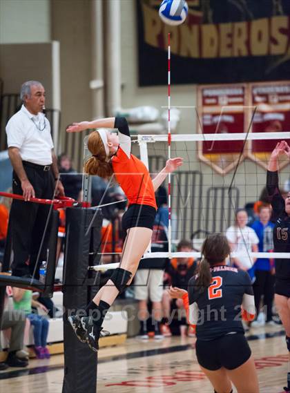 Thumbnail 3 in Lewis-Palmer @ Ponderosa photogallery.