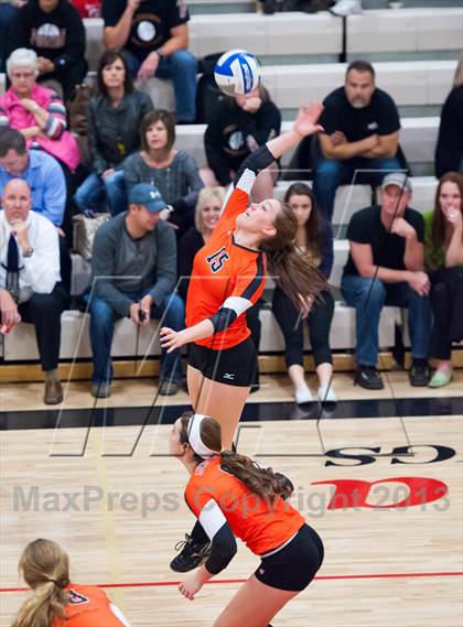 Thumbnail 2 in Lewis-Palmer @ Ponderosa photogallery.