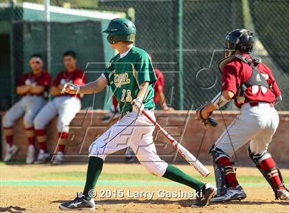 Thumbnail 3 in Alemany @ Canyon photogallery.