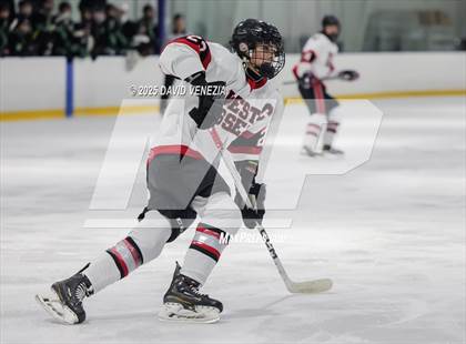 Thumbnail 2 in West Essex @ Ridge photogallery.