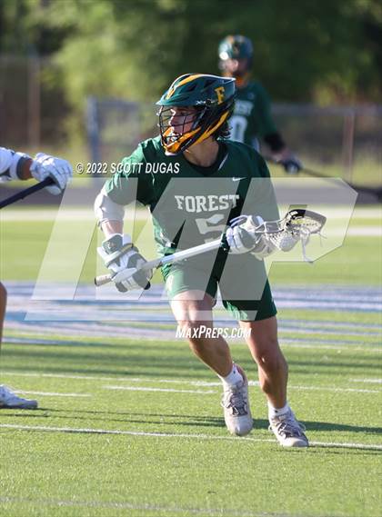 Thumbnail 3 in Forest @ Lake Howell photogallery.