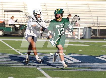 Thumbnail 3 in Forest @ Lake Howell photogallery.