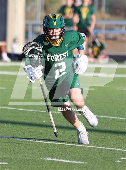 Thumbnail 3 in Forest @ Lake Howell photogallery.