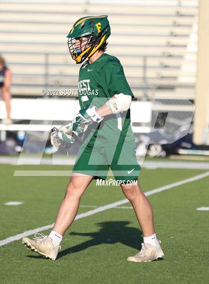 Thumbnail 2 in Forest @ Lake Howell photogallery.