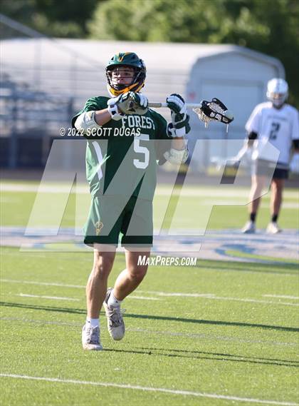 Thumbnail 3 in Forest @ Lake Howell photogallery.