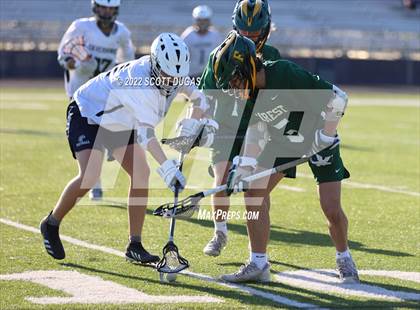 Thumbnail 1 in Forest @ Lake Howell photogallery.