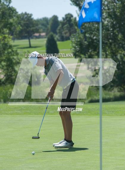 Thumbnail 1 in Palmer Terrors Invitational photogallery.