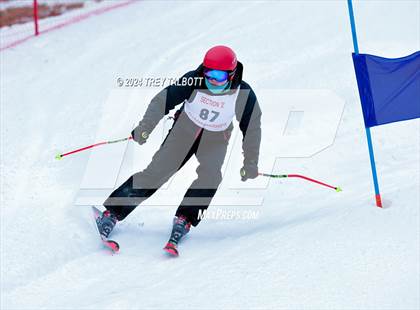 Thumbnail 2 in NYSPHSAA Section V Class A & B Giant Slalom Final (First Run) photogallery.