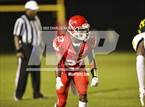Photo from the gallery "Pine Forest @ Seventy-First"