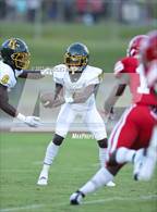 Photo from the gallery "Pine Forest @ Seventy-First"