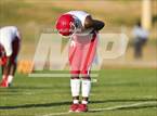 Photo from the gallery "Pine Forest @ Seventy-First"
