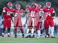Photo from the gallery "Pine Forest @ Seventy-First"