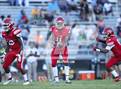 Photo from the gallery "Pine Forest @ Seventy-First"