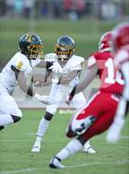 Photo from the gallery "Pine Forest @ Seventy-First"