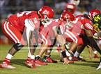 Photo from the gallery "Pine Forest @ Seventy-First"