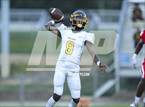 Photo from the gallery "Pine Forest @ Seventy-First"