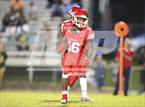 Photo from the gallery "Pine Forest @ Seventy-First"