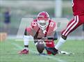 Photo from the gallery "Pine Forest @ Seventy-First"