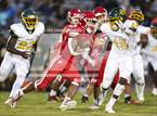 Photo from the gallery "Pine Forest @ Seventy-First"