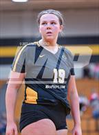 Photo from the gallery "Bellville @ Klein Oak"