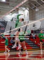 Photo from the gallery "Waterford @ Trimble"