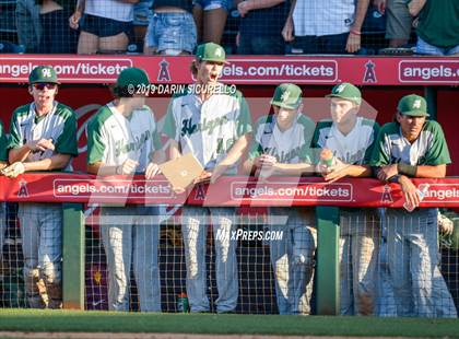 Thumbnail 1 in Nogales vs. Horizon (AIA 5A State Final) photogallery.