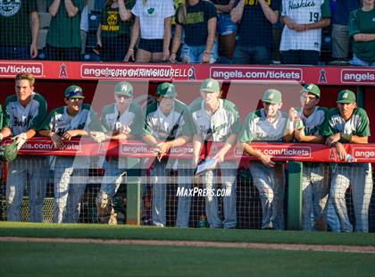 Thumbnail 1 in Nogales vs. Horizon (AIA 5A State Final) photogallery.