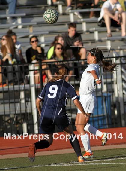 Thumbnail 2 in Aquinas @ Bishop Carroll photogallery.