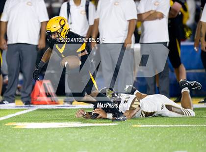 Thumbnail 1 in West @ Cerritos photogallery.