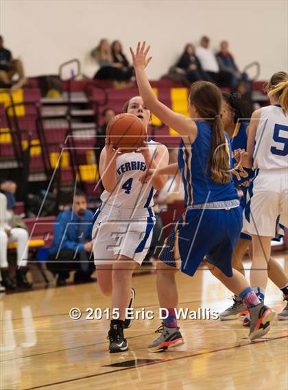 Thumbnail 1 in Chicopee Comp @ West Springfield photogallery.