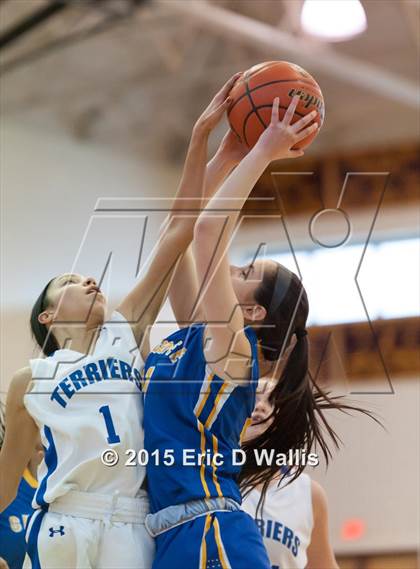 Thumbnail 1 in Chicopee Comp @ West Springfield photogallery.