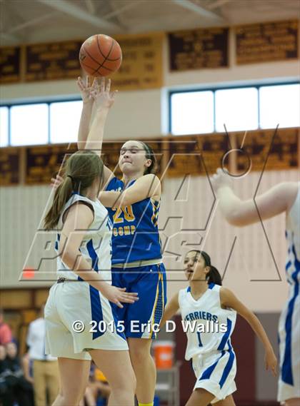 Thumbnail 1 in Chicopee Comp @ West Springfield photogallery.