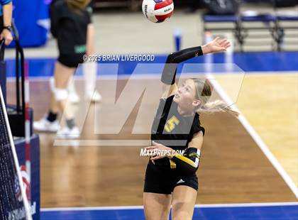 Thumbnail 1 in Prairie vs. Evangel Christian Academy (CHSAA 1A First Round) photogallery.