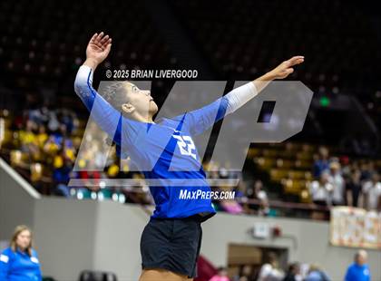 Thumbnail 1 in Prairie vs. Evangel Christian Academy (CHSAA 1A First Round) photogallery.