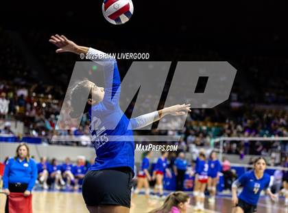 Thumbnail 1 in Prairie vs. Evangel Christian Academy (CHSAA 1A First Round) photogallery.