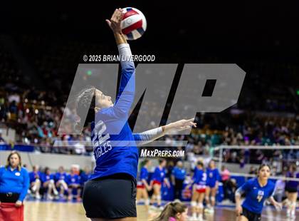 Thumbnail 2 in Prairie vs. Evangel Christian Academy (CHSAA 1A First Round) photogallery.