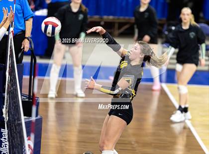 Thumbnail 2 in Prairie vs. Evangel Christian Academy (CHSAA 1A First Round) photogallery.